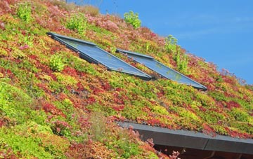 Werneth Low living roof systems