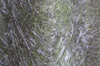 Werneth Low fibreglass roof work